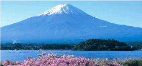 MT.FUJI 富士山